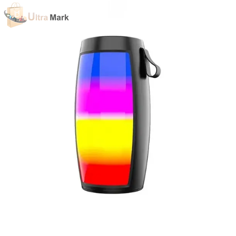 Haut-parleur Bluetooth portable, lumières LED, prend en charge la clé USB et carte memoir