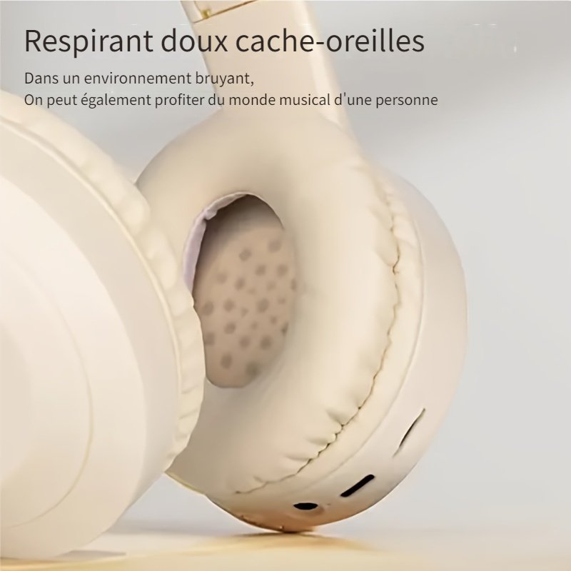 Casque Sans Fil pliable avec Micro , Carte memoire , USB type C